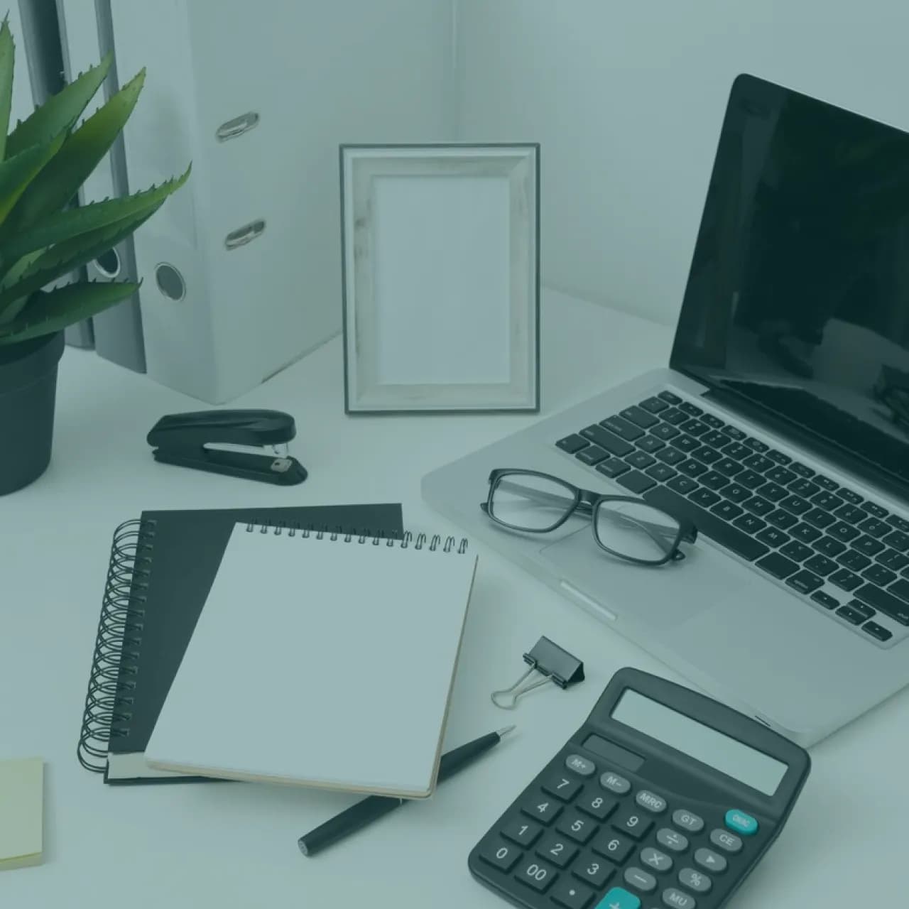 Financial Services